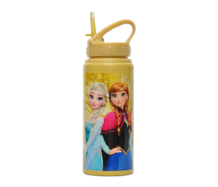 Frozen FRPO07179 Power Sisters Metal Water Bottle - Zoom Image