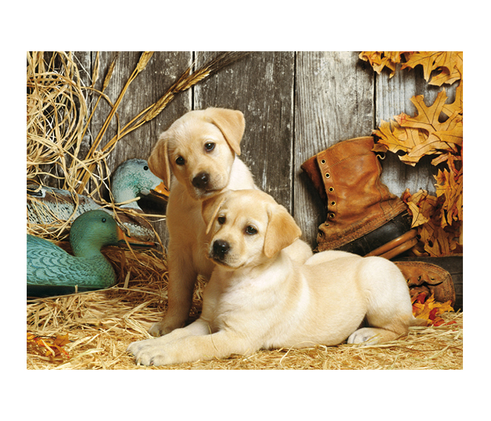 Clementoni 31976 High Quality Collection Hunting Dogs Adult Puzzle - 1500 Pieces - Zoom Image 1