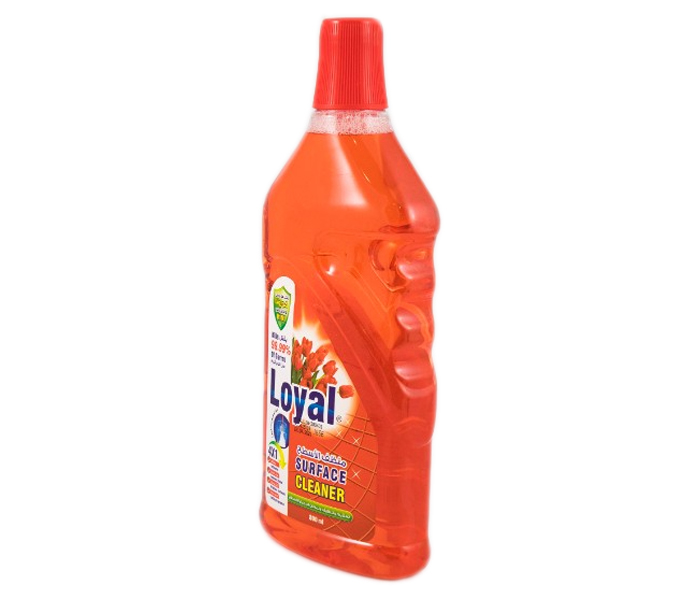 Loyal Multipurpose Surface Cleaner 800 ml - Zoom Image 2