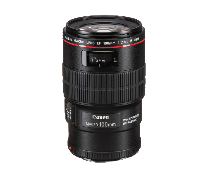 Canon EF 100mm f/2.8L Macro IS USM Lens - Black - Zoom Image 6