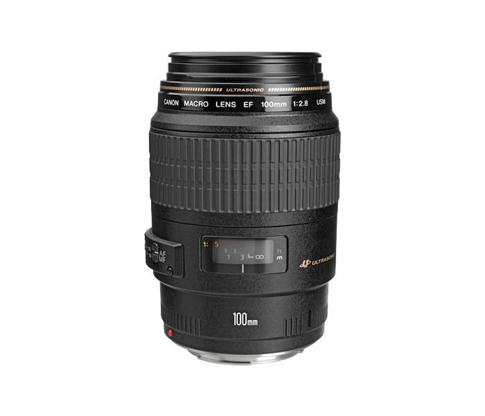 Canon EF 100mm f/2.8 Macro USM Lens for DSLR Camera - Black - Zoom Image 3