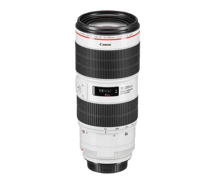 Canon EF 70-200mm f/2.8L IS III USM Telephoto Zoom Lens - Grey & Black - Zoom Image 3