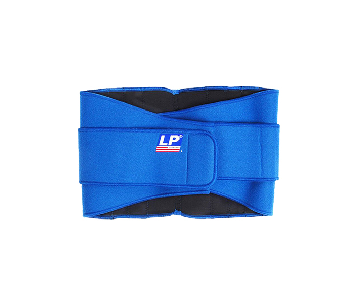 Lp Support N15427316A Lumbar Support - Blue - Zoom Image 2