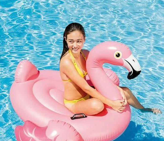 Intex ZX-57558 Flamingo Ride-On - Zoom Image 1