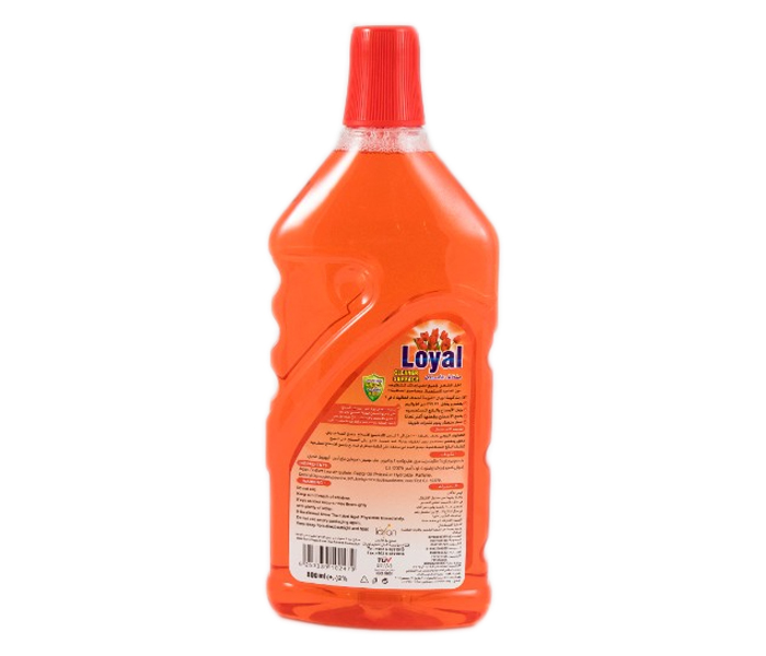 Loyal Multipurpose Surface Cleaner 800 ml - Zoom Image 3