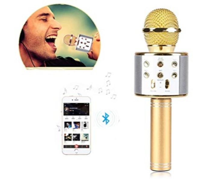 Wster Wireless Microphone Hifi Speaker Supports FM Radio, Karaoke, USB & TF Card-Assorted - Zoom Image 2