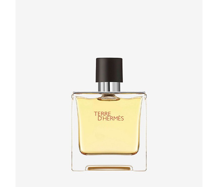 Hermes Terre D'Hermes EDP 75 ml for Men - Zoom Image 1