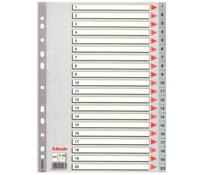 Esselte 100107 1-20 Index Divider Grey - Zoom Image