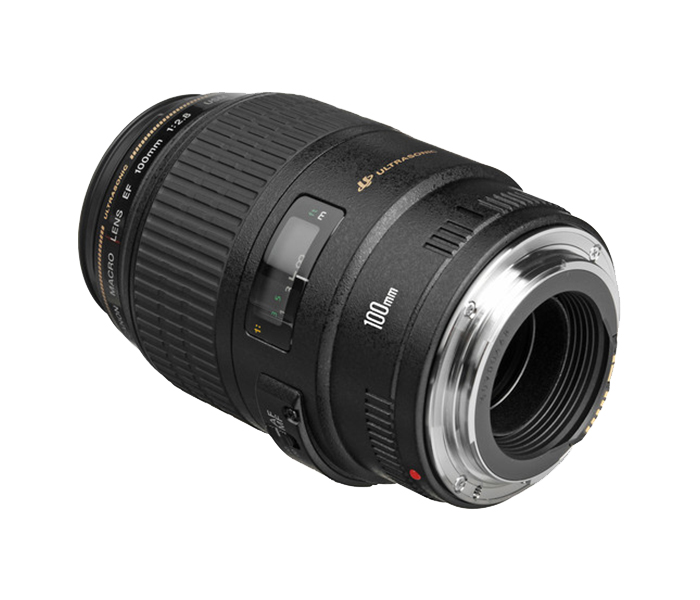 Canon EF 100mm f/2.8 Macro USM Lens for DSLR Camera - Black - Zoom Image 4