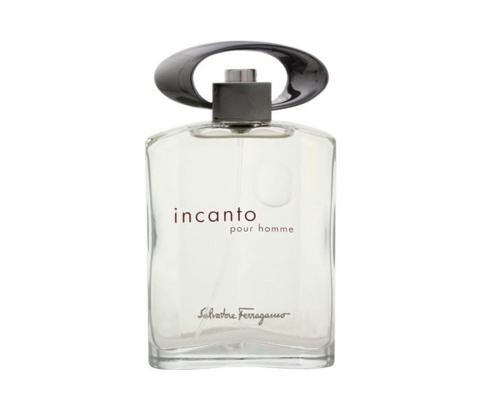 Salvotore Ferragamo 100ml Incanto Pour Homme Eau De Toilette for Men - Zoom Image 1