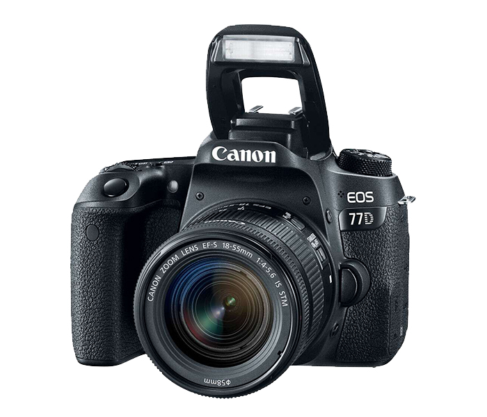 Canon EOS 77D EF-S 24.2 MP DSLR Camera with 18-55mm USM Lens - Black - Zoom Image 4