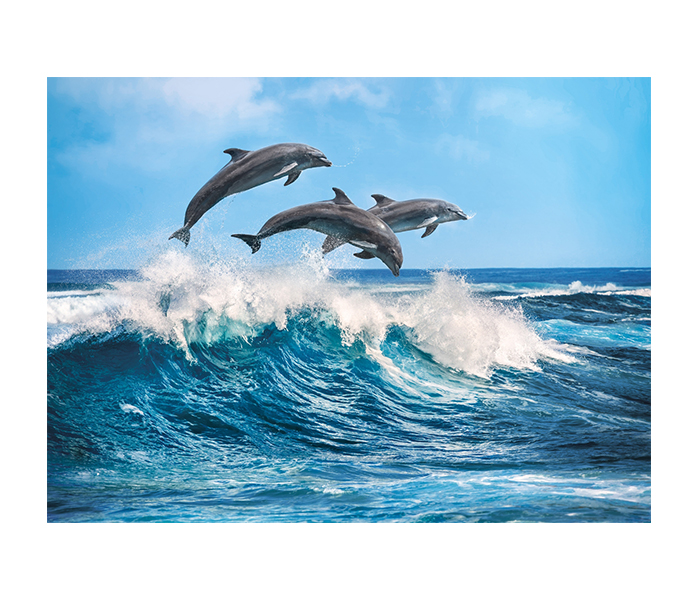 Clementoni 35055 Dolphins Adult Puzzle - 500 Pieces - Zoom Image 2