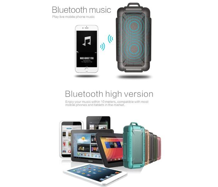 B18 -2 in 1 Wireless Bluetooth Heavy Duty Subwoofer Speaker and 10,000 mAh Power Bank with Flash Drive, FM Radio and TF Card, Assorted - Zoom Image 2