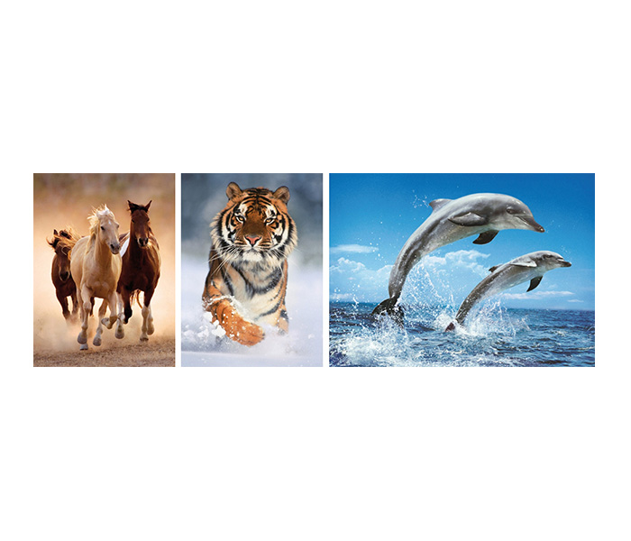 Clementoni 08004 High Quality Collection Animals Adult Puzzle - 3 x 1000 Pieces - Zoom Image 1