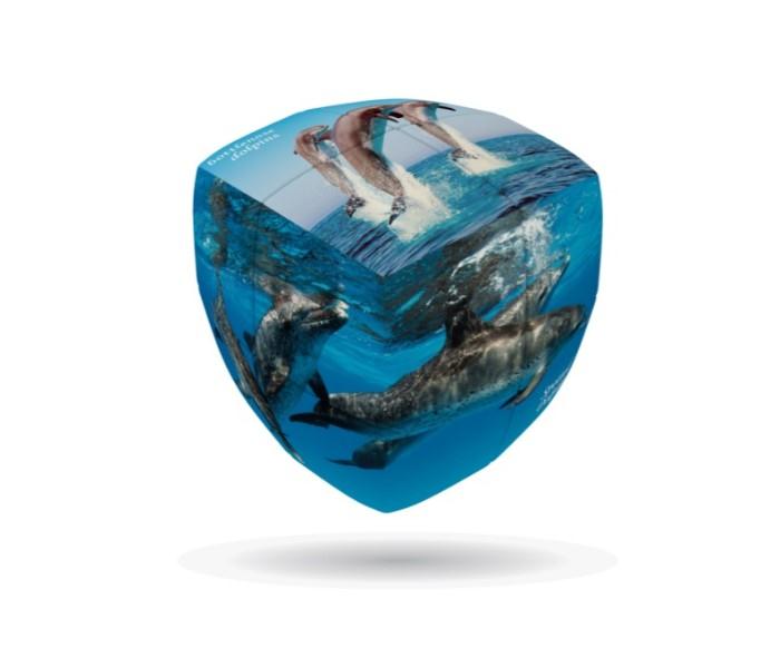 V-Cube 00.0261 Sea World - 2 Pillow Multicolor - Zoom Image 1