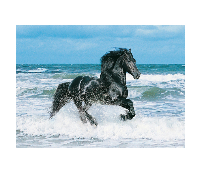 Clementoni 30175 High Quality Collection Black Horse Adult Puzzle - 500 Pieces - Zoom Image 1