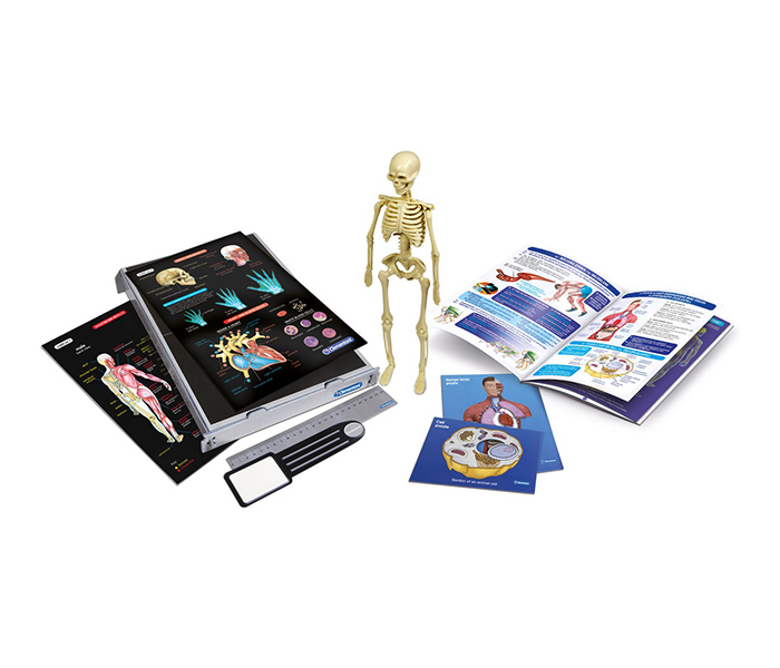 Clementoni 61252 Science & Game Anatomy Lab Set - Zoom Image 1