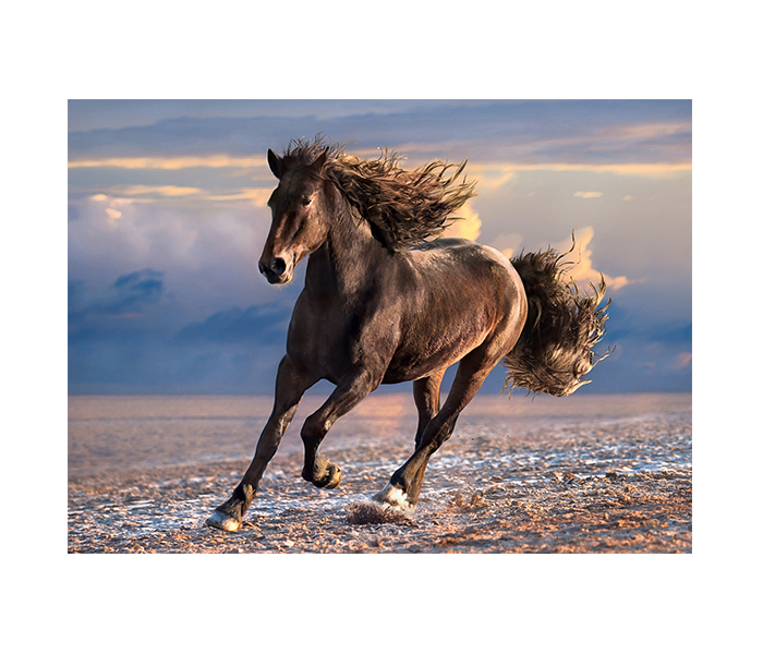 Clementoni 39420 High Quality Collection Free Horse Adult Puzzle - 1000 Pieces - Zoom Image 2