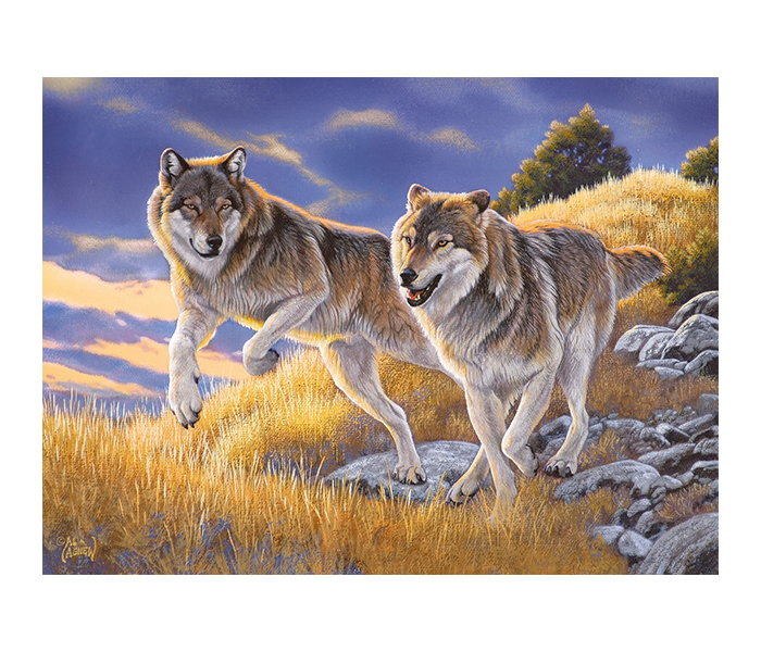 Clementoni 35033 High Quality Collection The Wolves Adult Puzzle - 500 Pieces - Zoom Image 1