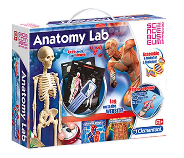 Clementoni 61252 Science & Game Anatomy Lab Set - Zoom Image 3