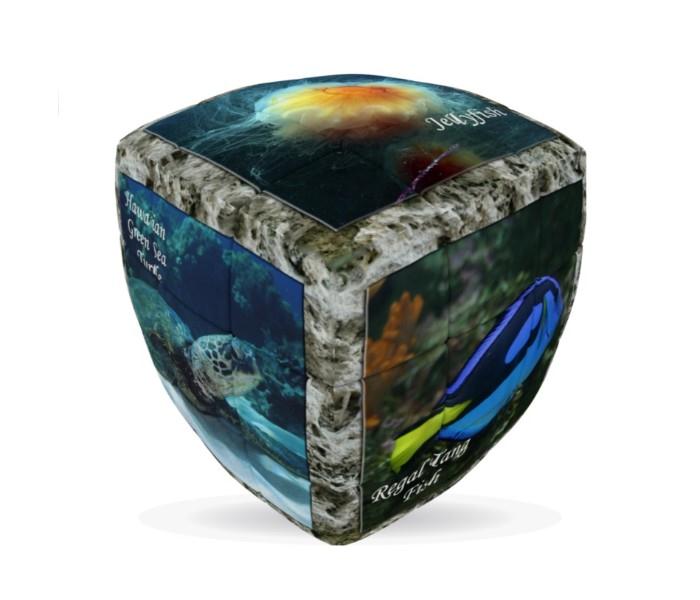 V-Cube 00.0253 Sea Wolrd -3 Pillow Multicolor - Zoom Image 1