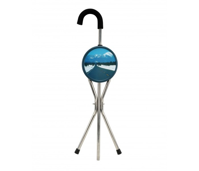 Portable Folding Chair with stick 31589 Silver - Zoom Image 1