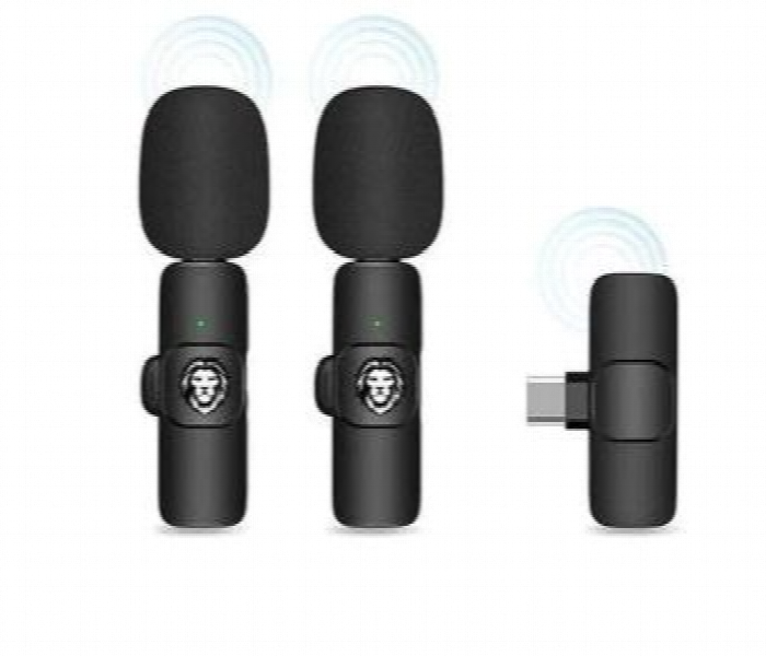 Green Lion 3 In 1 Wireless Microphone Dual Mic 20M Range - Zoom Image 1