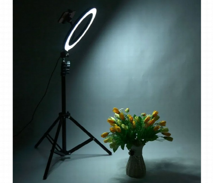 Dimmable Ring Supplementary Lamp - Zoom Image 2