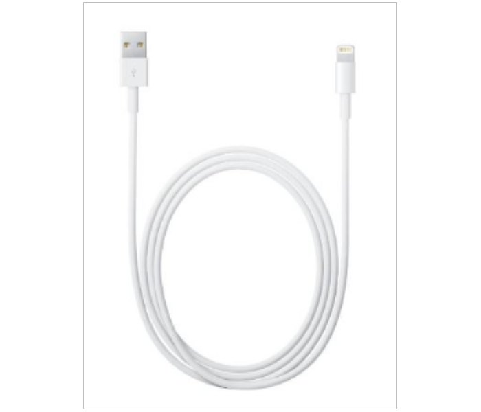 Iends CA763 Lightning Cable 2M - Zoom Image 1