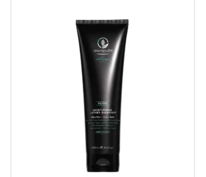 Awapuhi Wild Ginger by Paul Mitchell Moisturizing Lather Protein Shampoo 250 Ml - Zoom Image