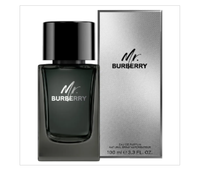 Burberry Mr Burberry Eau de Parfum 100ML for Men - Zoom Image