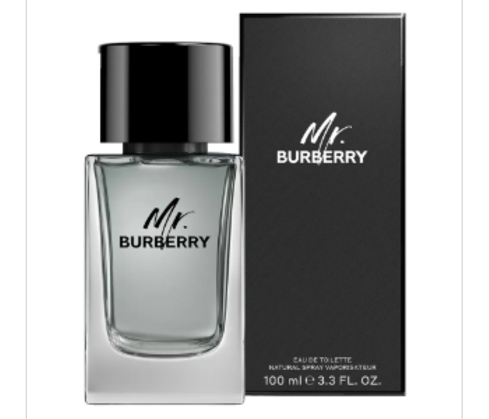 Mr Burberry Eau de Toilette 100ML for Men - Zoom Image