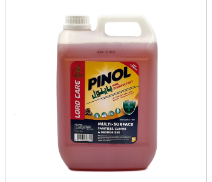 Q PAC ANTISEPTIC DISINFECTANT LIQUID 5L 1 PCS - Zoom Image