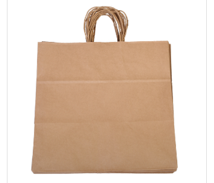 Q PAC Kraft Paper Carry Bag ONE Packet 10 pcs - Zoom Image