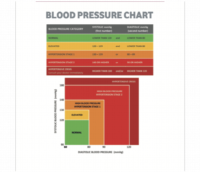 Elony ELY106 Intelligent Arm Type Blood Pressure Meter - Zoom Image 2