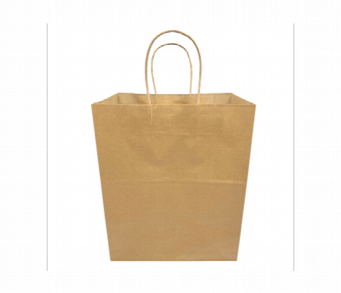 Brown Kraft Paper Carry Bag 20x35x37 with Twisted Handle - Zoom Image