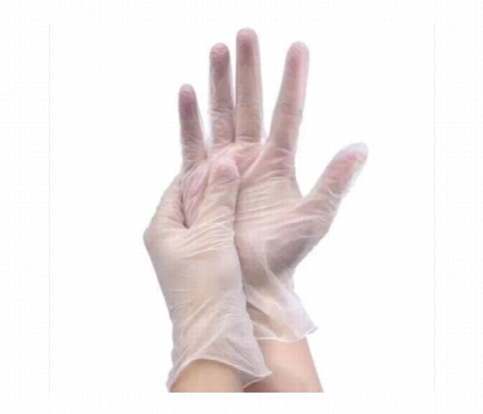 100 Piece Large Disposable Vinyl Gloves SLR - Zoom Image