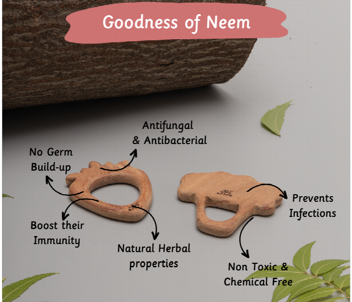 Strawberry and Broccoli Neem Wood Teether for Babies Safe and Natural Teething Relief - Zoom Image 2