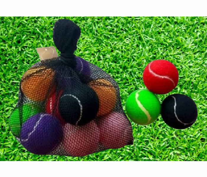 Tennis Ball Pack with Net Bag for fun and play - Zoom Image