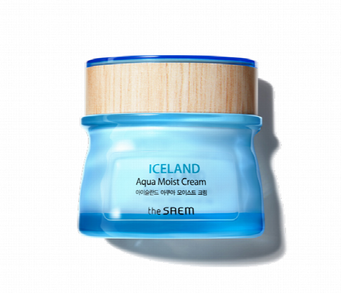 The Saem Iceland Aqua Moist Cream - Zoom Image