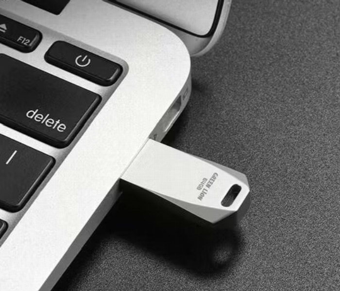 Green Lion High Speed Flash Drive  64Gb - Zoom Image 2