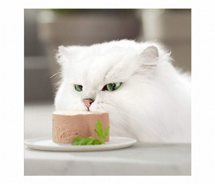 Gourmet Gold Mousse Ocean Fish - Zoom Image 5