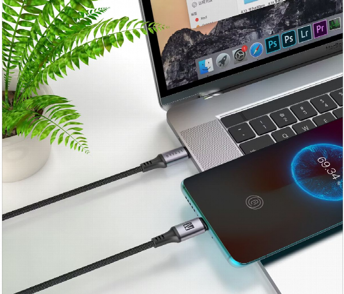 Levelo Otto Usb C To Type C 60W Leather Cable - Zoom Image 4