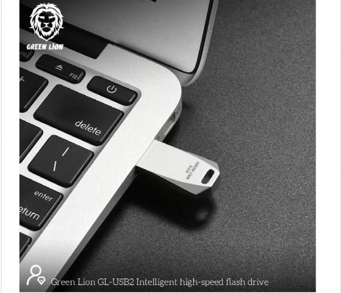 Green Lion High Speed Flash Drive  64Gb Silver - Zoom Image 2