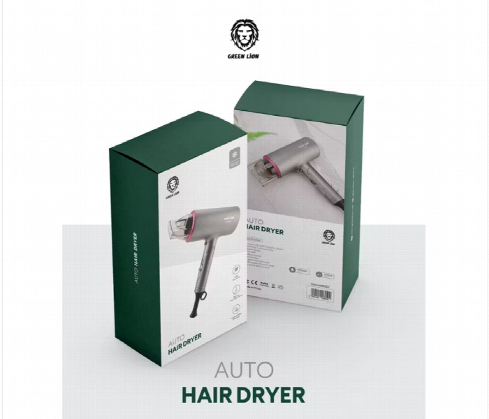 Green Lion Auto Hair Dryer Grey - Zoom Image 3