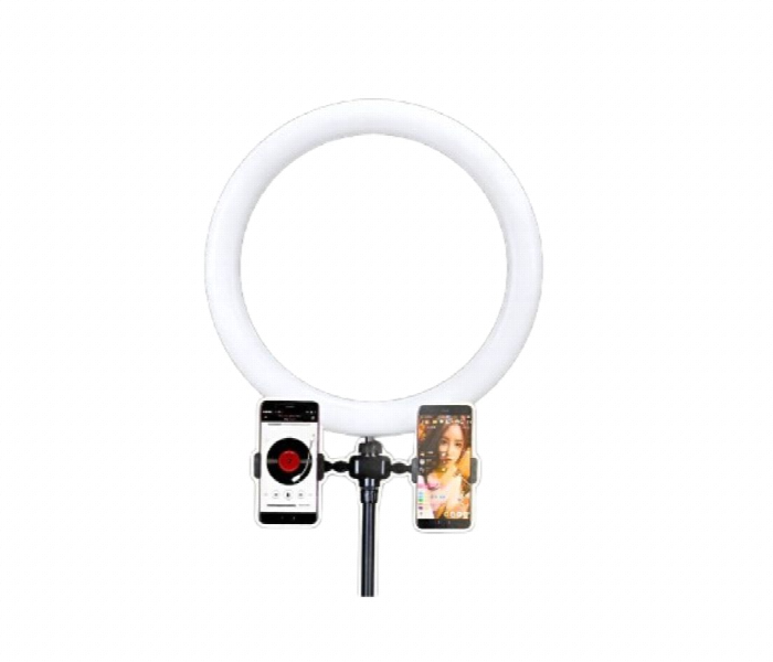 Adjustable Pro Microphone Stand - Zoom Image 2