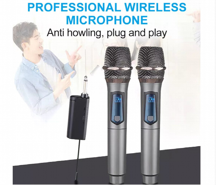 Professional Universal Dual Wireless Microphone - Zoom Image 2
