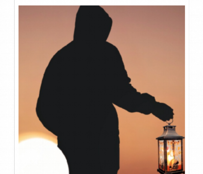 Plastic Decorative Led Lantern - Zoom Image 2
