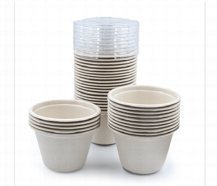Q Pac Sugarcane Sauce Cup 4Oz With Clear Lid 25 Pieces  Sc4Sc25 - Zoom Image