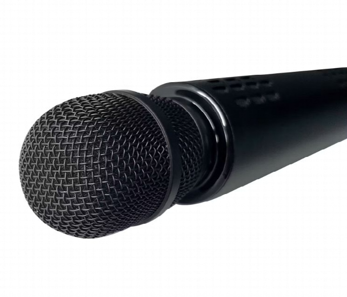 Green Lion Karaoke Microphone 2000 Mah - Zoom Image 2